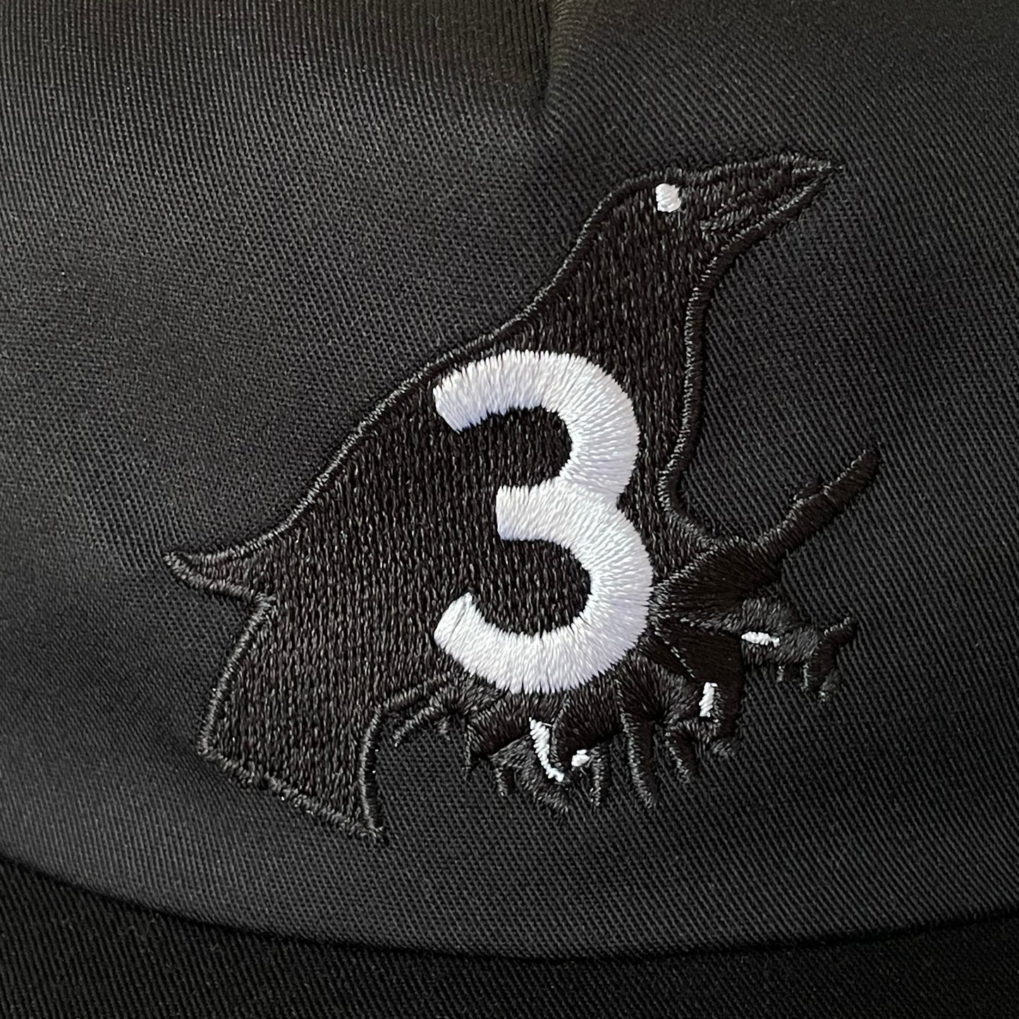 Crowsnest Pass Hwy 3 Unstructured Snapback Hat
