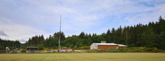 World's tallest totem pole tipped over